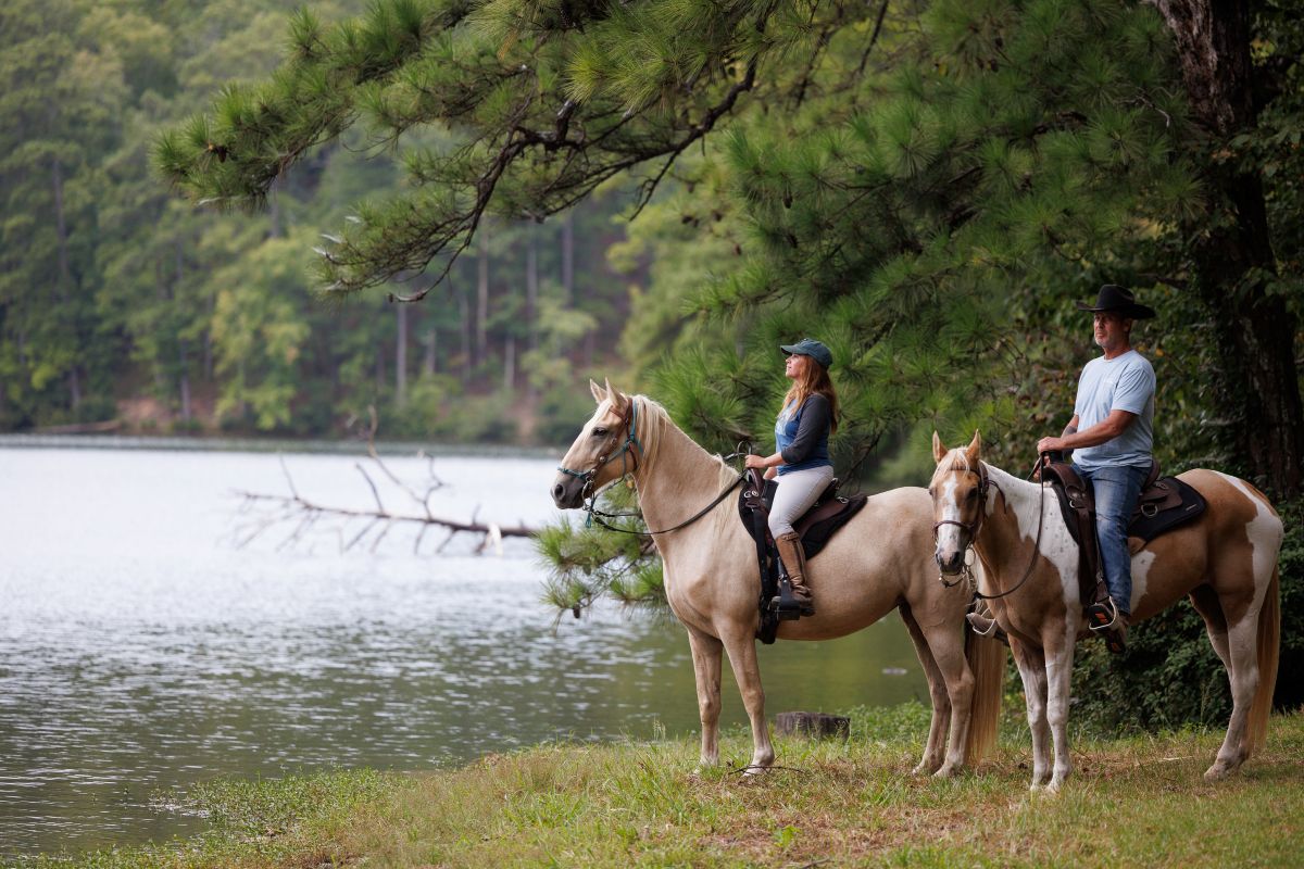 Alabama Trails - 25 Must-Tread Trails for 2025 - Visit USA